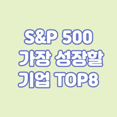 S&P 500 : 가장 성장할 기업 TOP8
